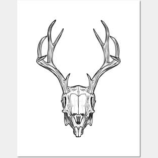 Deer Skull Black Buck 10 Point Posters and Art